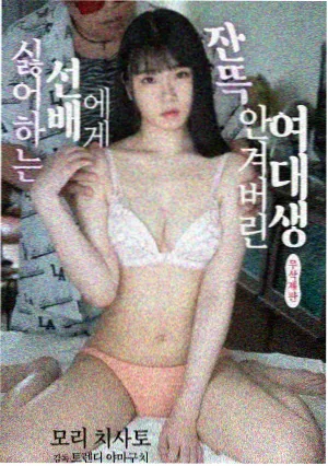 潮汐档案电视剧封面